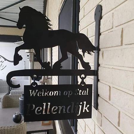 Westendorp Luxe Gastenkamer Met Living En Keuken Bij Friezen Paarden Stal Pellendijk מראה חיצוני תמונה