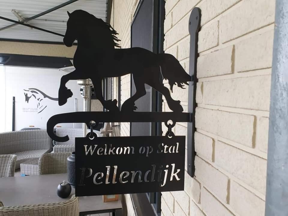 Westendorp Luxe Gastenkamer Met Living En Keuken Bij Friezen Paarden Stal Pellendijk מראה חיצוני תמונה
