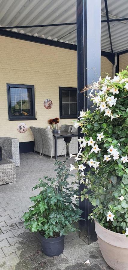 Westendorp Luxe Gastenkamer Met Living En Keuken Bij Friezen Paarden Stal Pellendijk מראה חיצוני תמונה