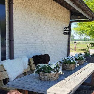 Westendorp Luxe Gastenkamer Met Living En Keuken Bij Friezen Paarden Stal Pellendijk מראה חיצוני תמונה